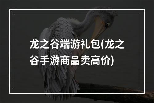 龙之谷端游礼包(龙之谷手游商品卖高价)