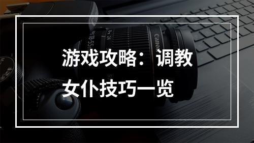 游戏攻略：调教女仆技巧一览