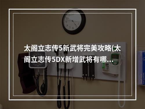 太阁立志传5新武将完美攻略(太阁立志传5DX新增武将有哪些 100名新增武将一览)