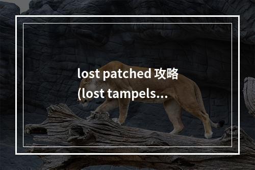 lost patched 攻略(lost tampels 攻略)