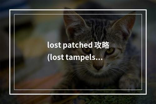 lost patched 攻略(lost tampels 攻略)