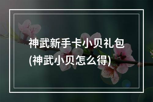 神武新手卡小贝礼包(神武小贝怎么得)