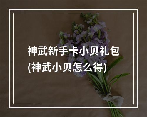 神武新手卡小贝礼包(神武小贝怎么得)