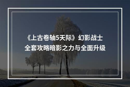 《上古卷轴5天际》幻影战士全套攻略暗影之力与全面升级