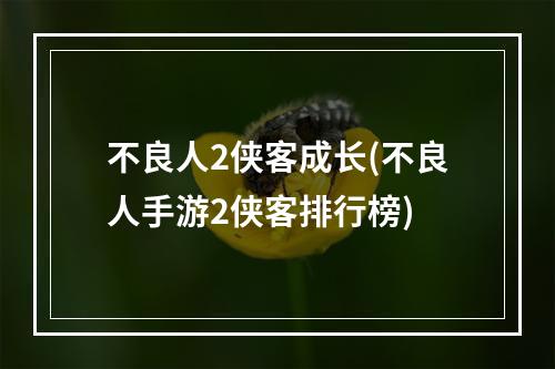 不良人2侠客成长(不良人手游2侠客排行榜)