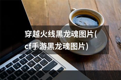 穿越火线黑龙魂图片(cf手游黑龙魂图片)