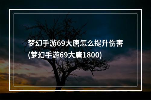 梦幻手游69大唐怎么提升伤害(梦幻手游69大唐1800)