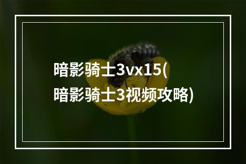 暗影骑士3vx15(暗影骑士3视频攻略)