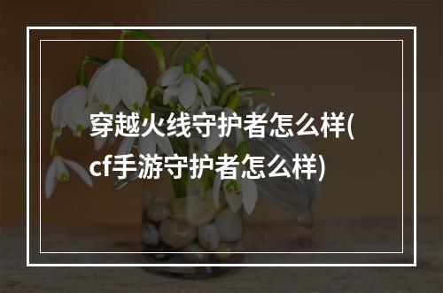 穿越火线守护者怎么样(cf手游守护者怎么样)