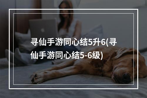 寻仙手游同心结5升6(寻仙手游同心结5-6级)