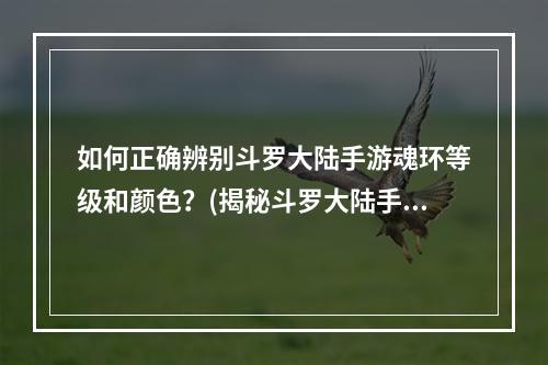 如何正确辨别斗罗大陆手游魂环等级和颜色？(揭秘斗罗大陆手游魂环吸收的奥秘与技巧！)