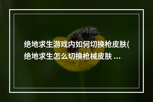 绝地求生游戏内如何切换枪皮肤(绝地求生怎么切换枪械皮肤 绝地求生切换枪械皮肤方法)