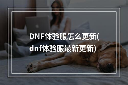 DNF体验服怎么更新(dnf体验服最新更新)