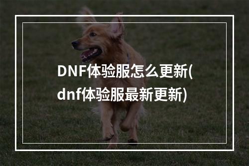 DNF体验服怎么更新(dnf体验服最新更新)