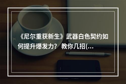 《尼尔重获新生》武器白色契约如何提升爆发力？ 教你几招(技巧大揭秘)