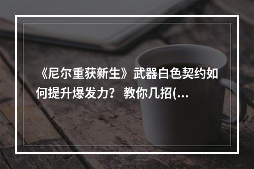 《尼尔重获新生》武器白色契约如何提升爆发力？ 教你几招(技巧大揭秘)