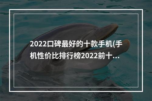 2022口碑最好的十款手机(手机性价比排行榜2022前十名)