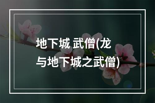 地下城 武僧(龙与地下城之武僧)