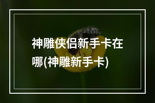 神雕侠侣新手卡在哪(神雕新手卡)