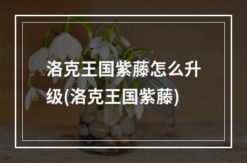 洛克王国紫藤怎么升级(洛克王国紫藤)