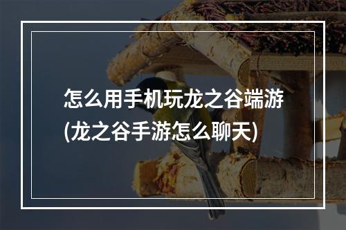 怎么用手机玩龙之谷端游(龙之谷手游怎么聊天)