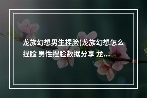 龙族幻想男生捏脸(龙族幻想怎么捏脸 男性捏脸数据分享 龙族幻想 )