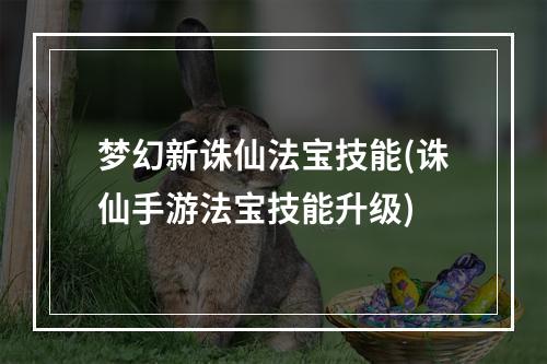 梦幻新诛仙法宝技能(诛仙手游法宝技能升级)