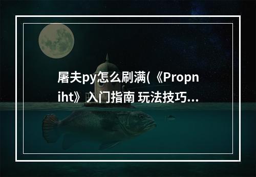 屠夫py怎么刷满(《Propniht》入门指南 玩法技巧及屠夫技能介绍地图)