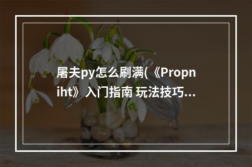 屠夫py怎么刷满(《Propniht》入门指南 玩法技巧及屠夫技能介绍地图)