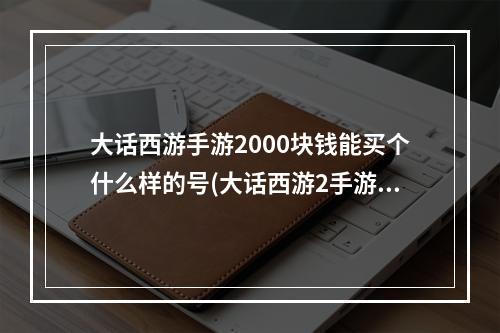 大话西游手游2000块钱能买个什么样的号(大话西游2手游1千元档女人)