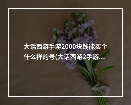 大话西游手游2000块钱能买个什么样的号(大话西游2手游1千元档女人)