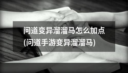 问道变异溜溜马怎么加点(问道手游变异溜溜马)