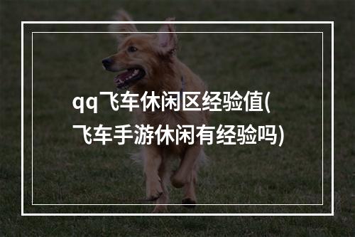 qq飞车休闲区经验值(飞车手游休闲有经验吗)