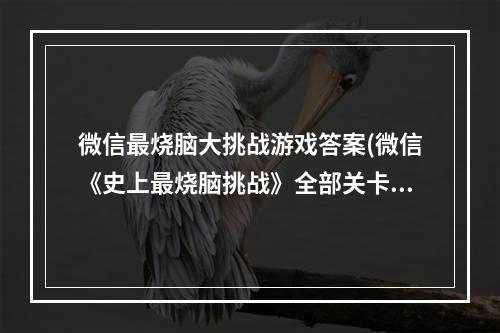 微信最烧脑大挑战游戏答案(微信《史上最烧脑挑战》全部关卡攻略答案汇总 机游 )