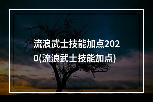 流浪武士技能加点2020(流浪武士技能加点)