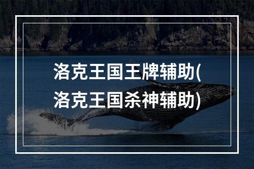 洛克王国王牌辅助(洛克王国杀神辅助)