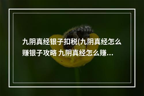 九阴真经银子扣税(九阴真经怎么赚银子攻略 九阴真经怎么赚银子 赚取九阴)