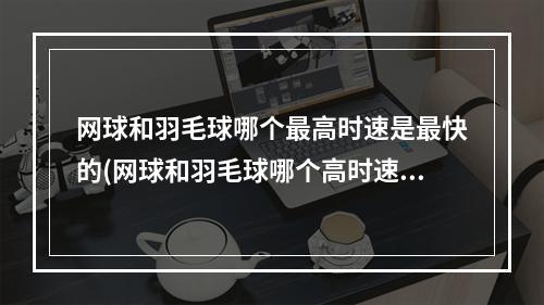 网球和羽毛球哪个最高时速是最快的(网球和羽毛球哪个高时速快)