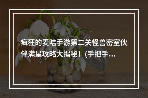 疯狂的麦咭手游第二关怪兽密室伙伴满星攻略大揭秘！(手把手教你轻松通关，解锁惊喜奖励！)