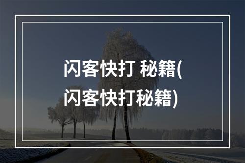 闪客快打 秘籍(闪客快打秘籍)