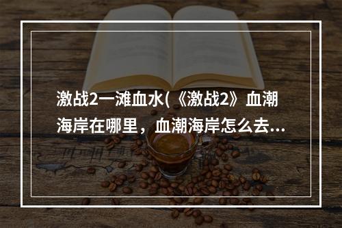 激战2一滩血水(《激战2》血潮海岸在哪里，血潮海岸怎么去)