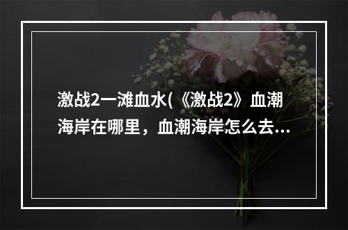 激战2一滩血水(《激战2》血潮海岸在哪里，血潮海岸怎么去)