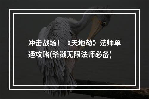 冲击战场！《天地劫》法师单通攻略(杀戮无限法师必备)