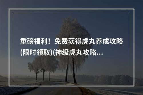 重磅福利！免费获得虎丸养成攻略(限时领取)(神级虎丸攻略大揭秘！高手分享打造最强战斗力方法)