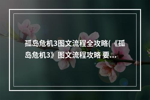 孤岛危机3图文流程全攻略(《孤岛危机3》图文流程攻略 要素收集教学关)