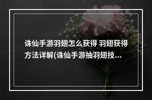 诛仙手游羽翅怎么获得 羽翅获得方法详解(诛仙手游抽羽翅技巧BUG)