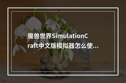 魔兽世界SimulationCraft中文版模拟器怎么使用(魔兽世界装备模拟器)