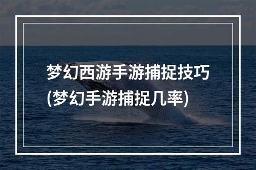 梦幻西游手游捕捉技巧(梦幻手游捕捉几率)