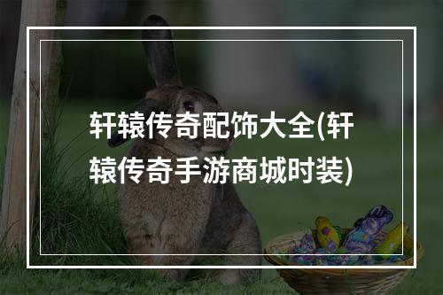 轩辕传奇配饰大全(轩辕传奇手游商城时装)