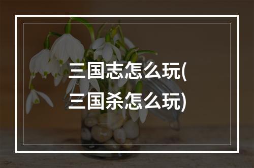 三国志怎么玩(三国杀怎么玩)